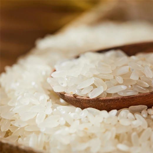 赵府稻园 稻花香米 5kg/袋 商品图2