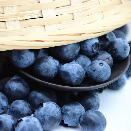 青岛蓝莓 商品图3
