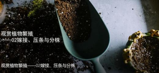 8.2嫁接、压条与分株 商品图0