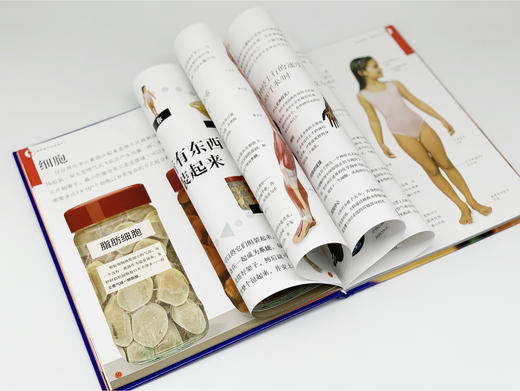 DK有趣的人体:什么组成我 6-12岁儿童百科书dk中文百科书精装版有 商品图3