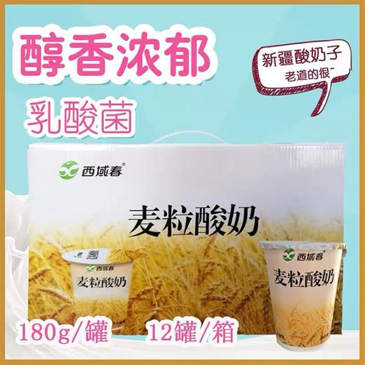 爆品促销~【西域春麦粒酸奶】180g*12杯 商品图6