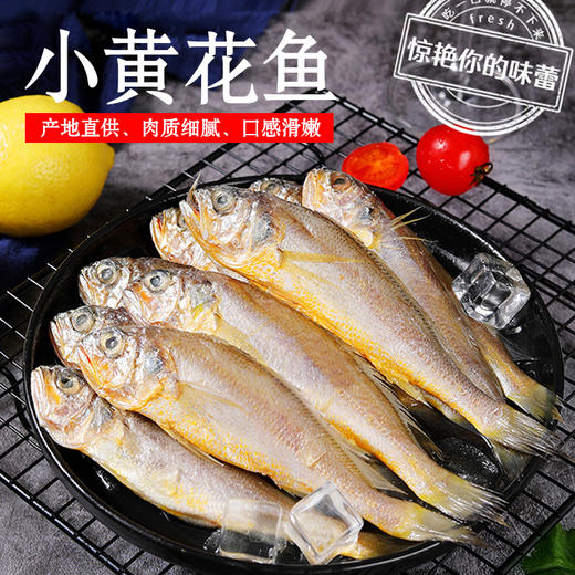 【秒杀】山东小黄花鱼500g*3袋 新鲜小黄花 商品图0