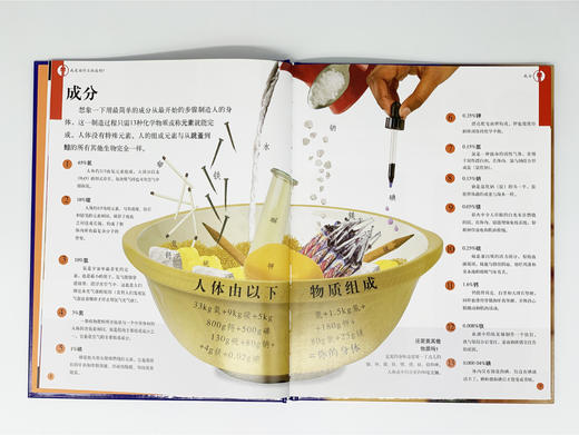 DK有趣的人体:什么组成我 6-12岁儿童百科书dk中文百科书精装版有 商品图2