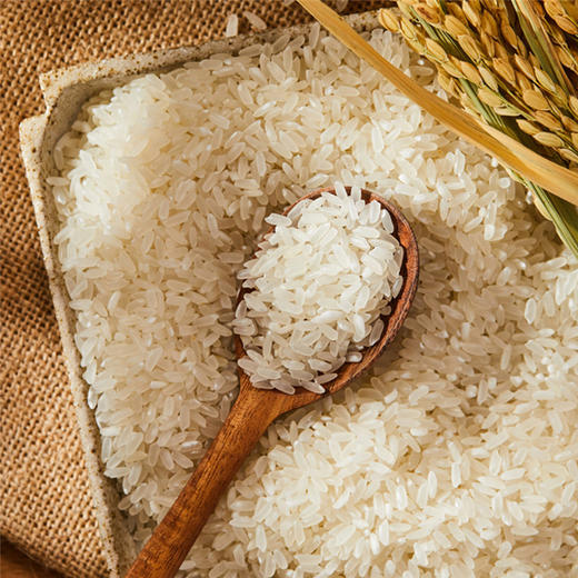 赵府稻园 稻花香米 5kg/袋 商品图1