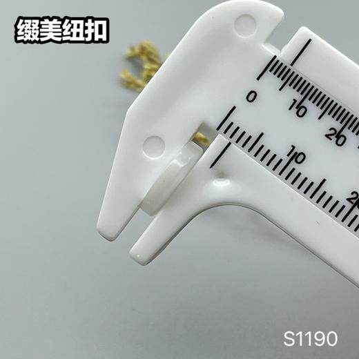 S1190(整包购买) 商品图9