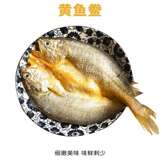 免杀免洗黄鱼鲞 250g*3袋装 商品图3