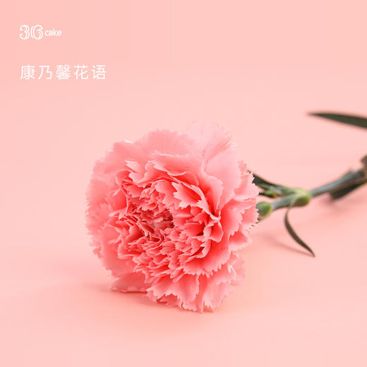 心意密语.，可选1.5/2.5磅0kt-冰淇淋口味仅限深圳广州佛山可选 商品图2