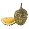 【猫山王榴莲】口感绵密 瓜熟蒂落 人工筛选 液氮冷冻 商品缩略图4