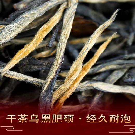 保山龙陵 功夫滇红茶 口粮茶龙眉红 500克/罐 商品图1