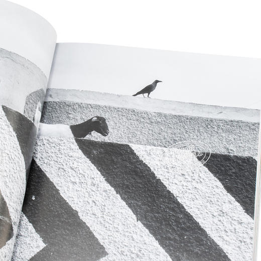 【中商原版】街头摄影师手册 英文原版 Street PhotographerˇS Manual 商品图7