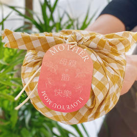 Mother's Day  缤纷曲奇盒子