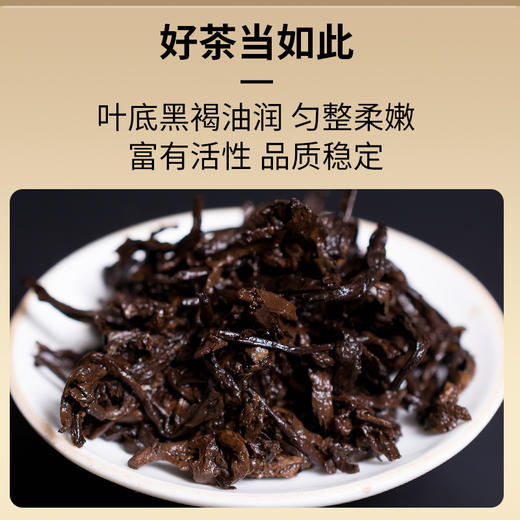 一球2021年天成熟茶357g 商品图4