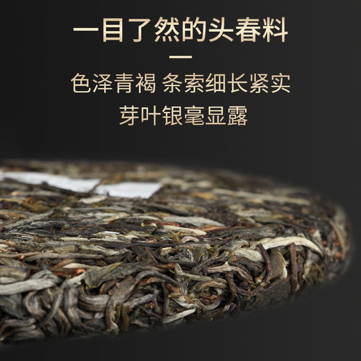 一球2021年归真生茶357g 商品图2