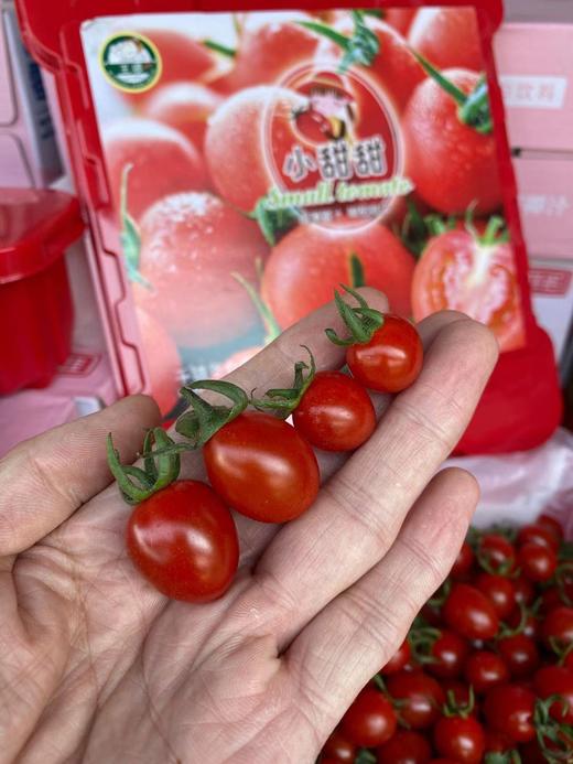 周二取货：【塑盒王婆小甜甜千禧】一盒毛重2.8斤左右，甜而爆汁！无敌新鲜！ 商品图6