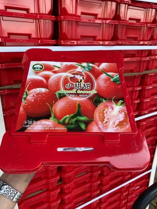 周四取货：【塑盒王婆小甜甜千禧】一盒毛重2.8斤左右，甜而爆汁！无敌新鲜！ 商品图7