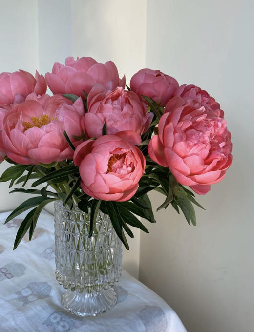【落日珊瑚芍药】5支/份 买2份减10元 长约45-50cm 商品图2