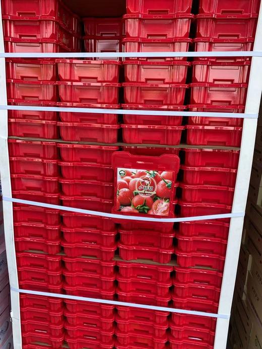 周四取货：【塑盒王婆小甜甜千禧】一盒毛重2.8斤左右，甜而爆汁！无敌新鲜！ 商品图9