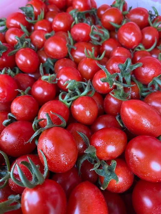 周四取货：【塑盒王婆小甜甜千禧】一盒毛重2.8斤左右，甜而爆汁！无敌新鲜！ 商品图5