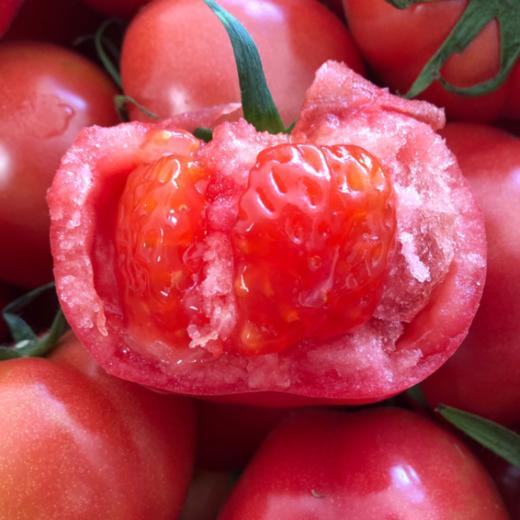 海阳【普罗旺斯西红柿】儿时味道，沙瓤超多，酸甜可口！ 商品图0