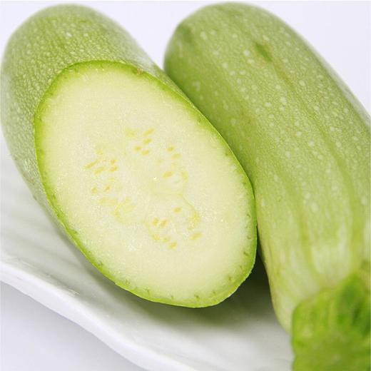 【BSS】西葫芦 约500克 商品图2