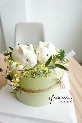 「女士」小兔子绿野仙踪