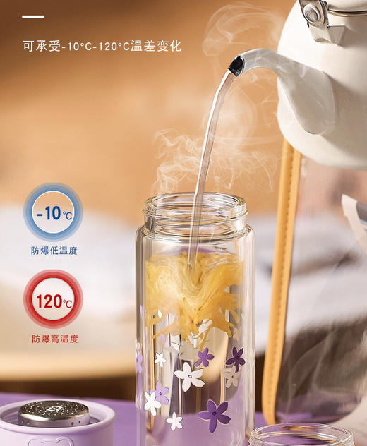 杯具熊茶水分离杯-高档双层高硼硅玻璃杯泡茶过滤便携-会员8折-无备注随机发货 商品图1