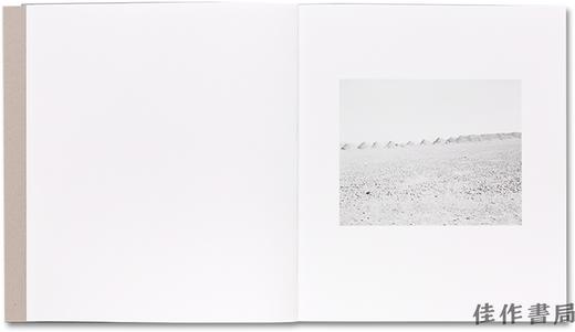 签名版丨 Susan Lipper：Domesticated Land / 苏珊·利珀：驯化土地 商品图2