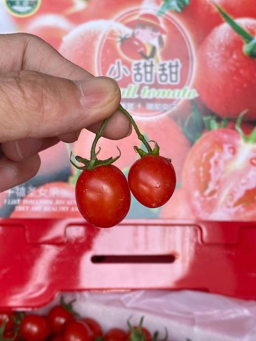 周四取货：【塑盒王婆小甜甜千禧】一盒毛重2.8斤左右，甜而爆汁！无敌新鲜！ 商品图8