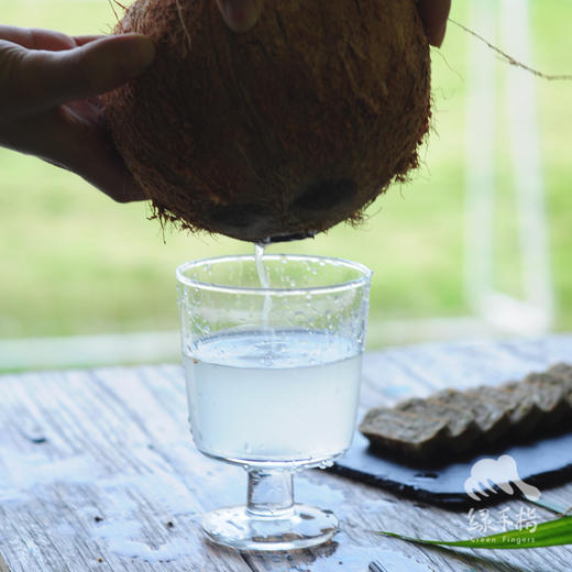 生态老椰子 | 合作生产 * Eco-Coconut | Coproduction 商品图3