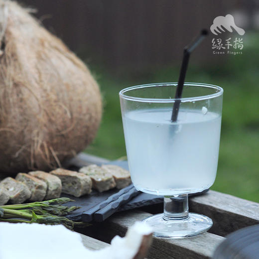 生态老椰子 | 合作生产 * Eco-Coconut | Coproduction 商品图2