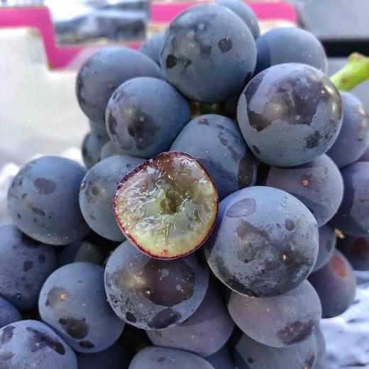 【甜美夏黑】云南 蓝莓夏黑葡萄，无籽，果粉满满，甜度好，当季时令鲜货！ 商品图2
