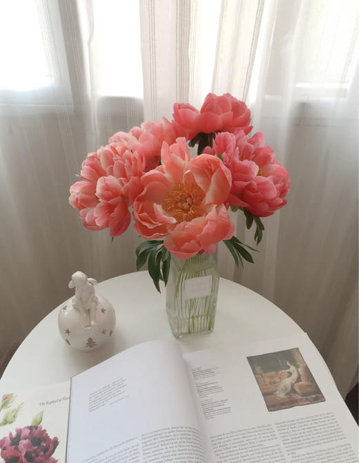 【落日珊瑚芍药】5支/份 买2份减10元 长约45-50cm 商品图1