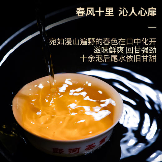 一球2021年归真生茶357g 商品图1