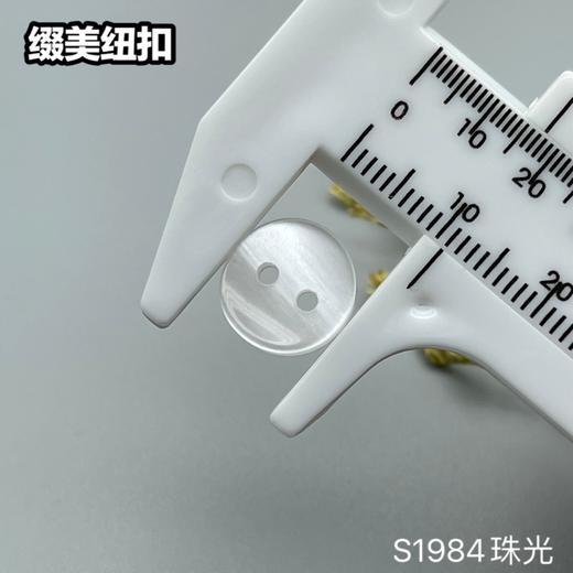 S1984珠光(整包购买) 商品图6