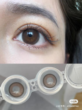 年抛美瞳 Lilian 巧不巧 14.5 巧克力豆