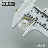 S1165星(整包购买) 商品缩略图5