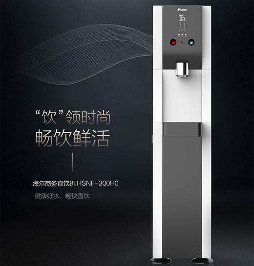 海尔（Haier）净水机HSNF-300H0 商品图1