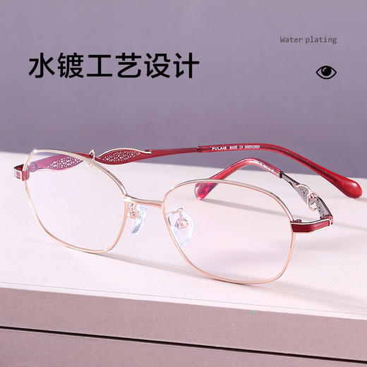 普莱斯老花镜PJ9064 合金+板材腿套 优雅大气 商品图3