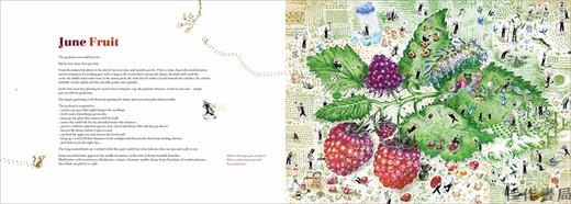 A Big Garden/一个大花园 商品图1