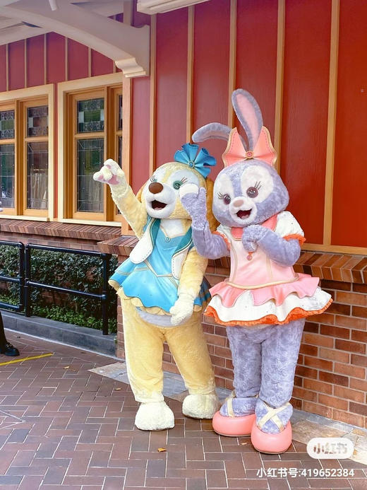 星黛璐兔主题蛋糕，5寸小高层，全部翻糖手工制作，所有装饰可食用，需提前5天以上预定 商品图4