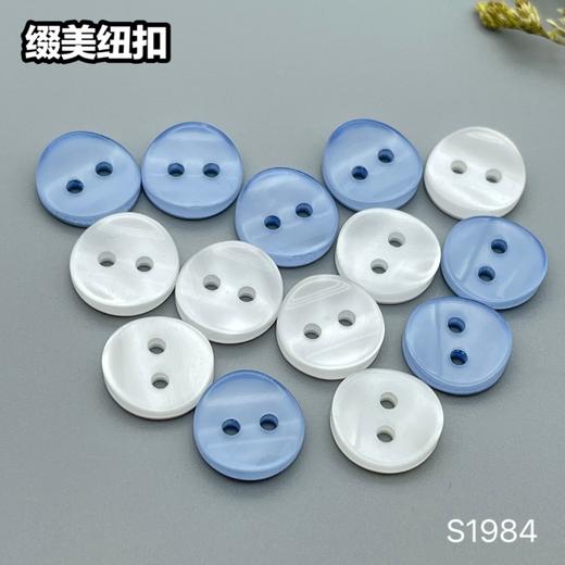 S1984珠光(整包购买) 商品图5