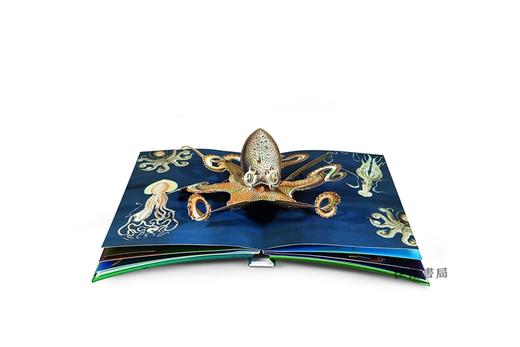 Creatures of the Deep : The Pop-Up Book/深海生物 商品图3
