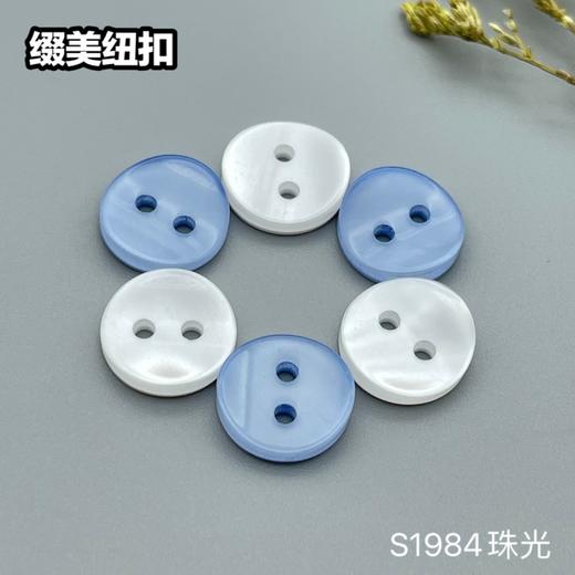 S1984珠光(整包购买) 商品图0