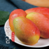 【伟诗优选】树上熟贵妃芒果 商品缩略图1