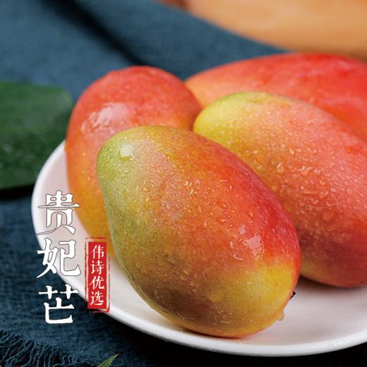 【伟诗优选】树上熟贵妃芒果 商品图1