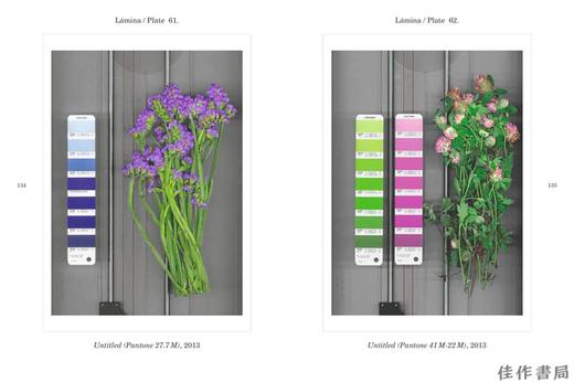 Botanicals/植物 商品图4