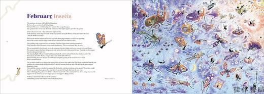 A Big Garden/一个大花园 商品图4