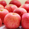 陕西顶端果业洛川红富士苹果礼盒15枚70mm 小果 水果礼盒 商品缩略图2