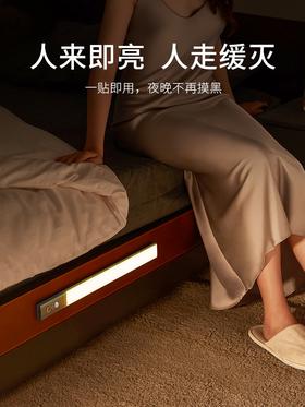 EZVALO几光人体感应灯