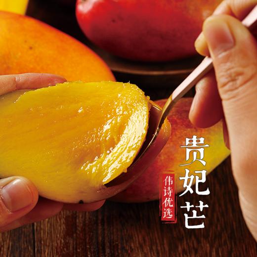 【伟诗优选】树上熟贵妃芒果 商品图3